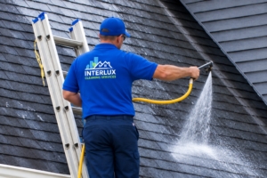 Roof Cleaning