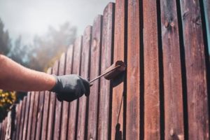 Fence Cleaning