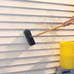 Vinyl Siding Cleaning